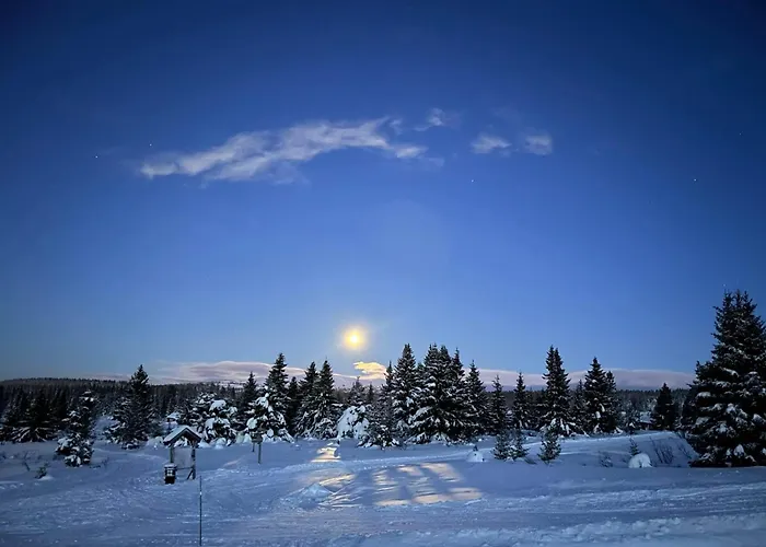 Nordseter Fjellpark, Hyttegrend
