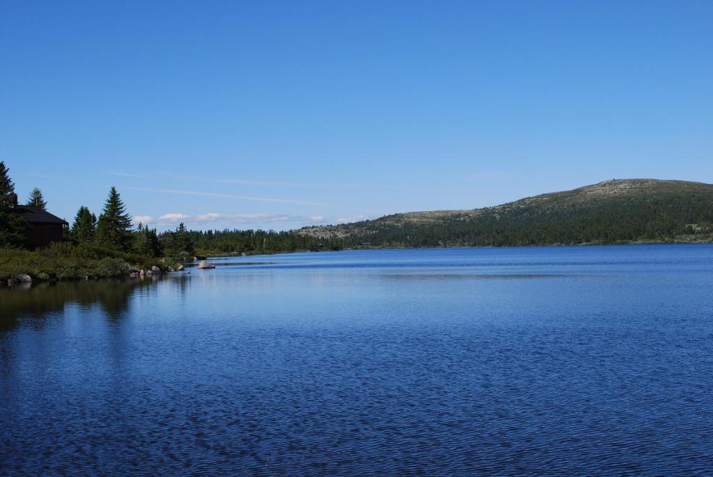 Fjellpark, Hyttegrend *