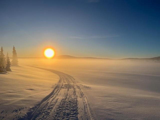 Fjellpark, Hyttegrend *
