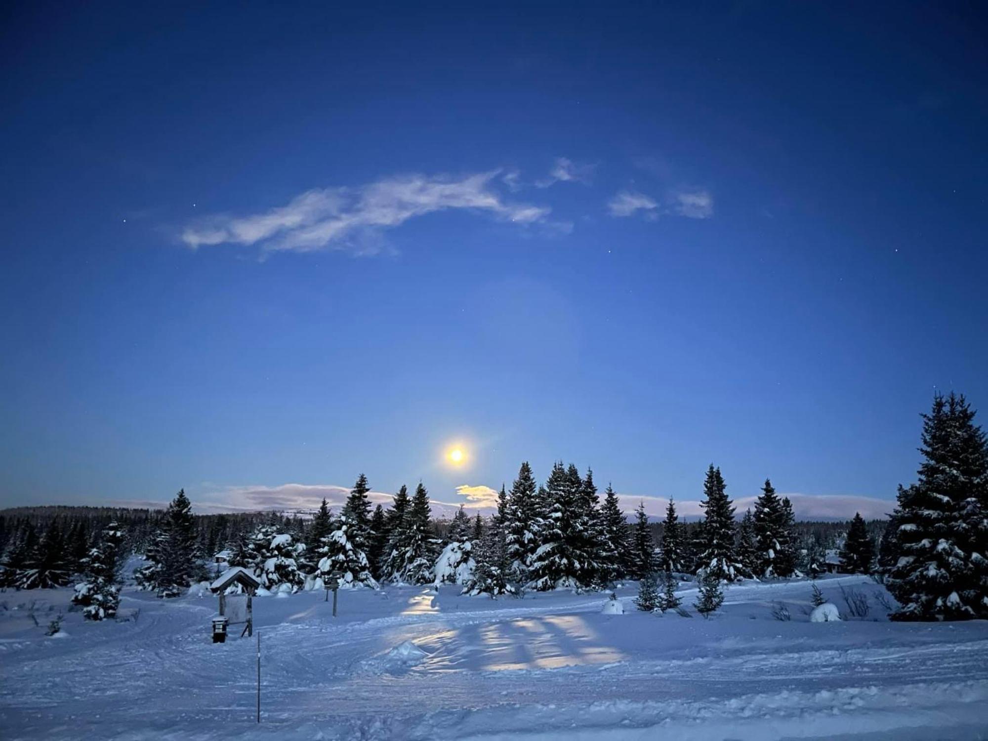 Fjellpark, Hyttegrend Hytte Nordseter