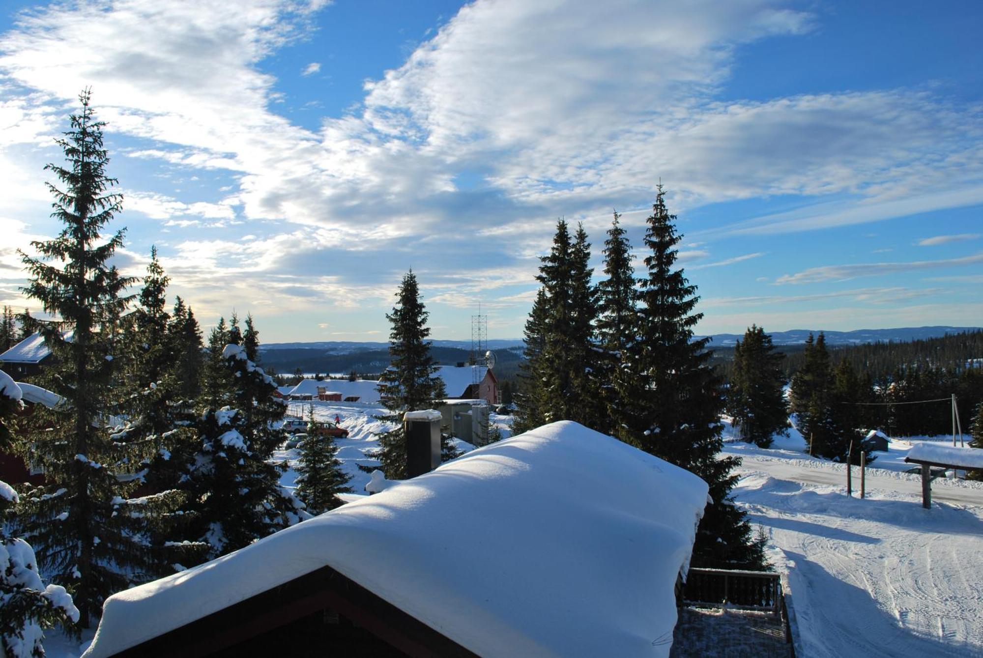 Fjellpark, Hyttegrend *