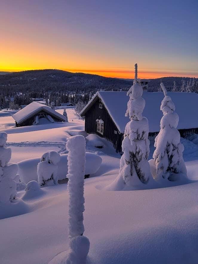 Fjellpark, Hyttegrend *